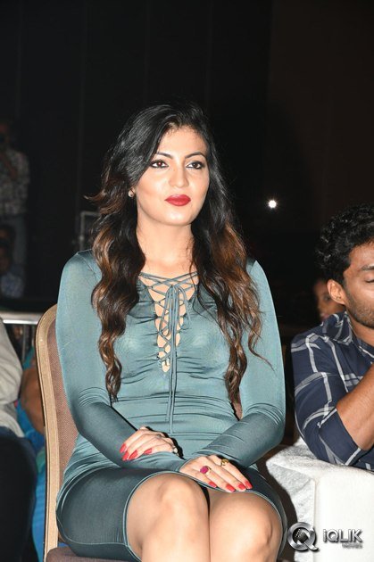 Araku-Road-Lo-Movie-Audio-Launch